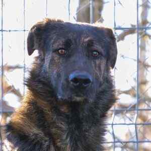 Imagen de Willywonka