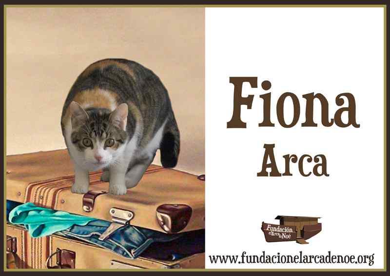 Imagen de Fiona arca