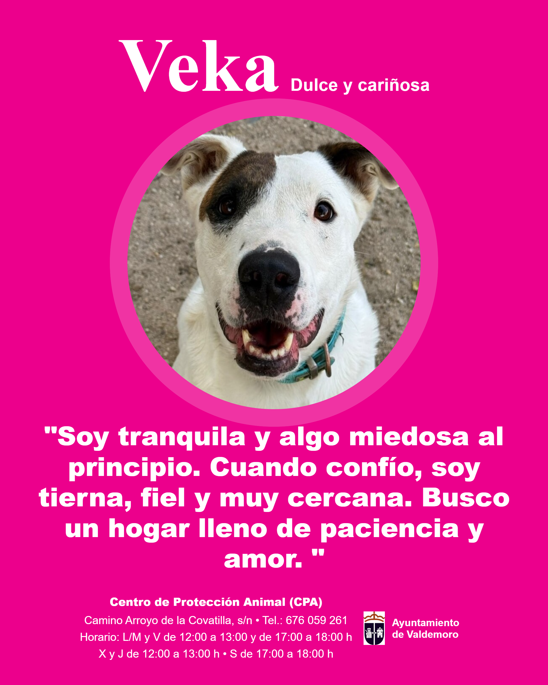 Imagen de VEKA
