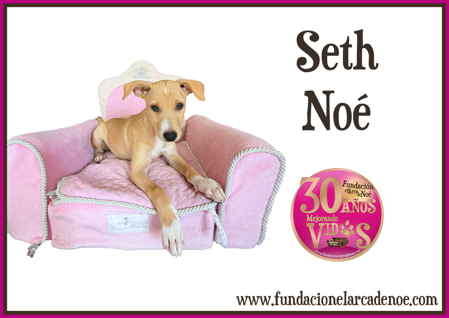 Imagen de Seth noé