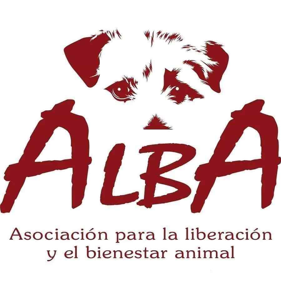 Imagen del centro de acogida  ALBA