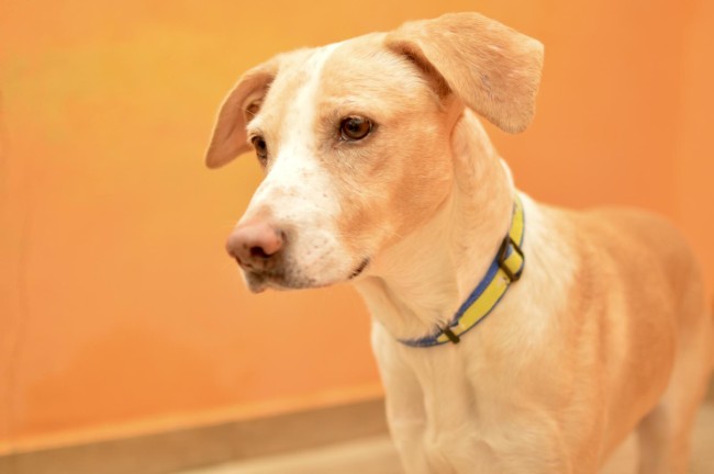 Imagen de Belen Bite