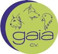 Imagen de GAIA CV