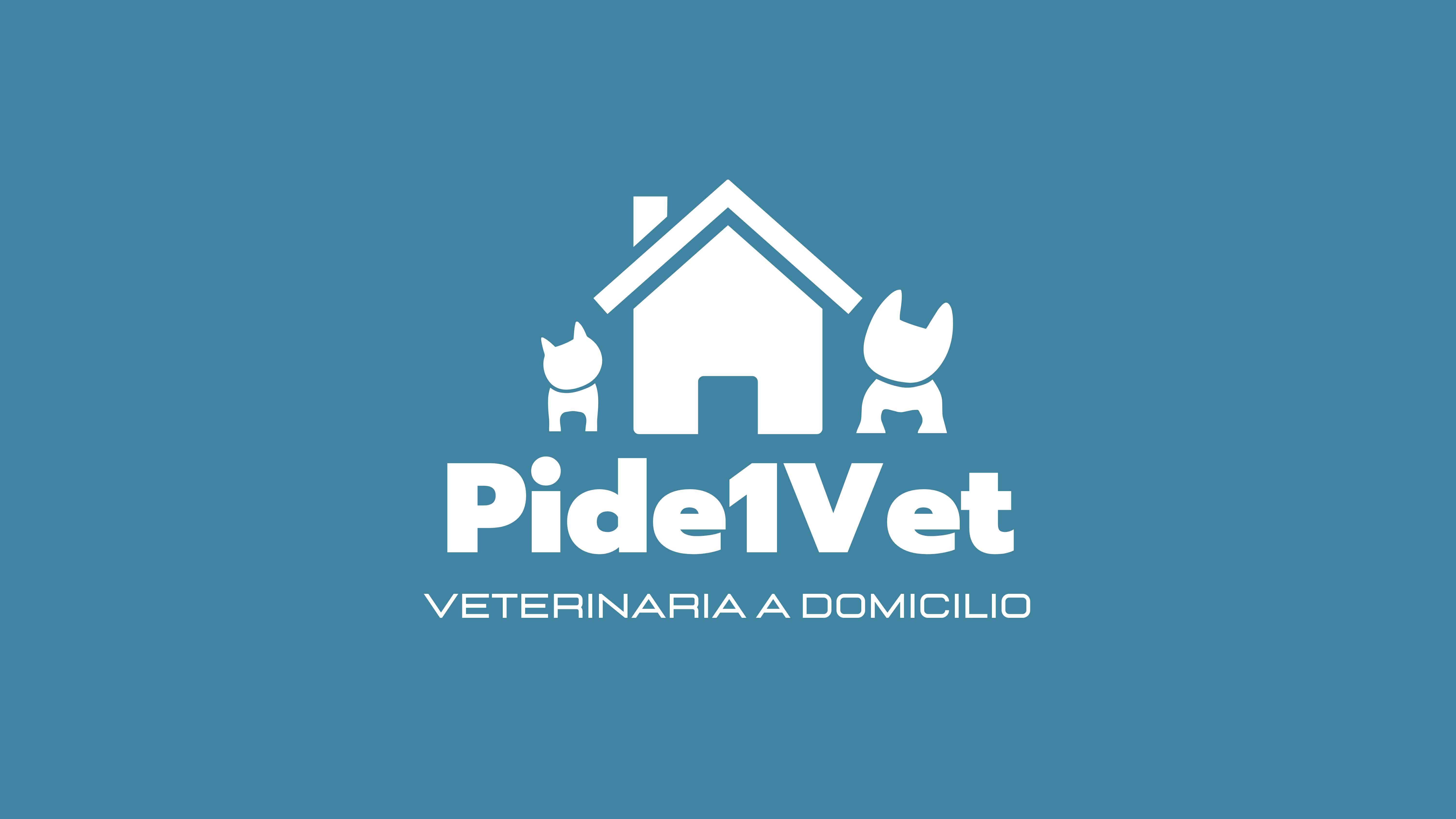 Imagen de Pide1Vet - Veterinaria a Domicilio