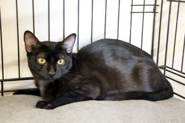 Imagen de Tayson Ferrer