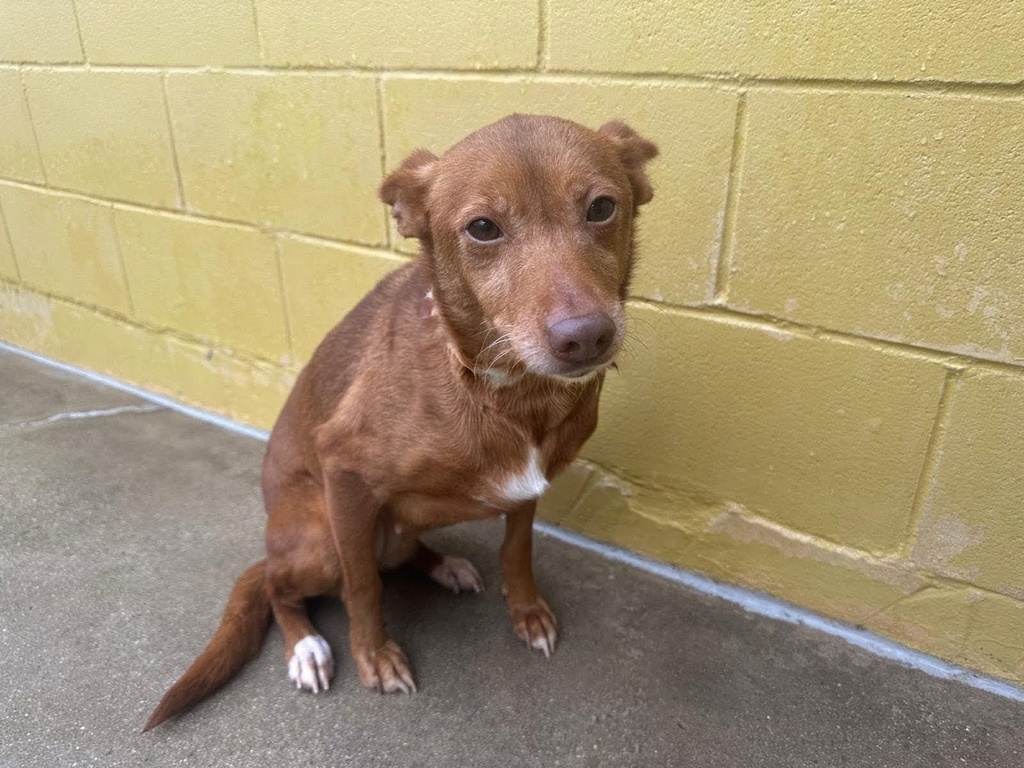 Imagen de SERKA JAEN