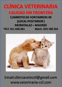Imagen de CLINICA VETERINARIA CALIDAD SIN FRONTERA