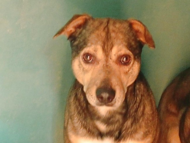 Imagen de Saigon Dina