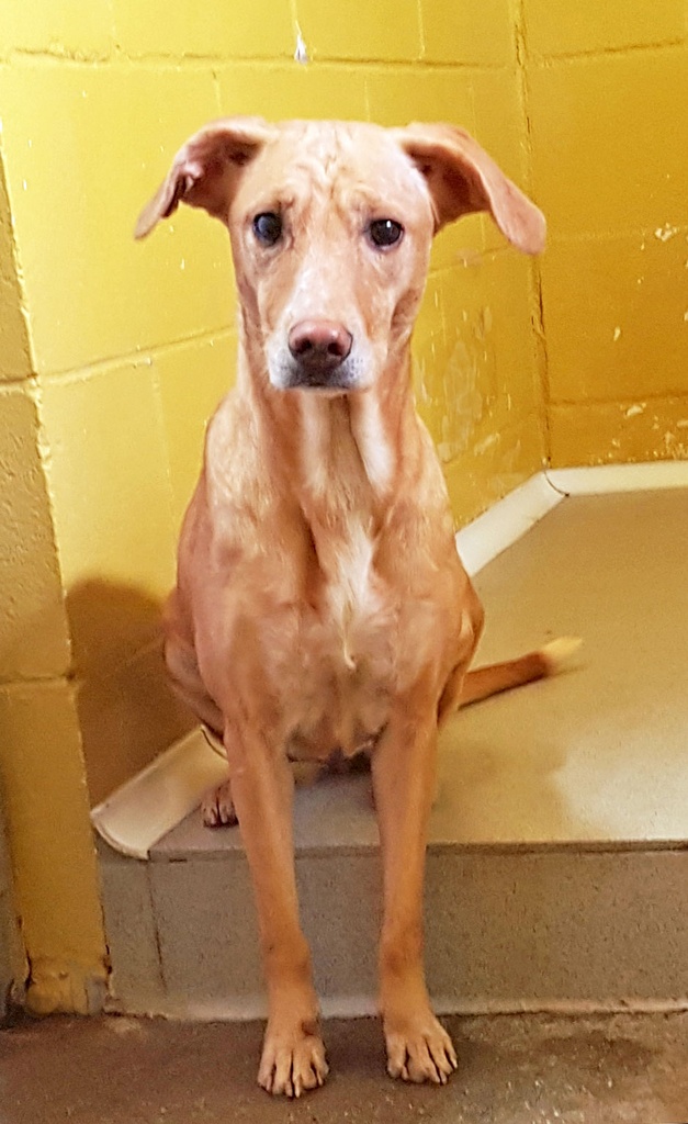 Imagen de SECUOYA ARGANDA