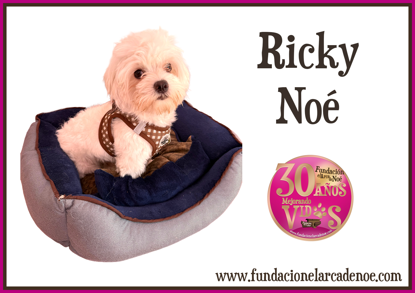 Imagen de Ricky noé