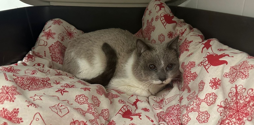 Imagen de MAURICIO ERAS