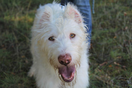 Imagen de SIMPA FAPAM