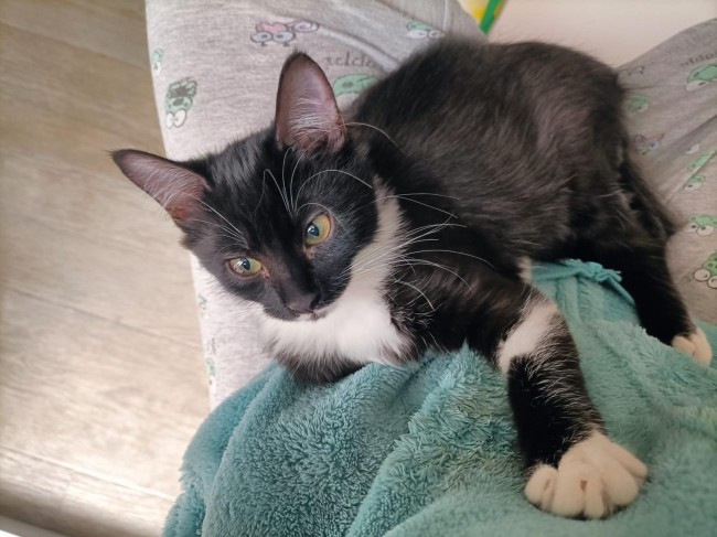 Imagen de Ugali Domingo