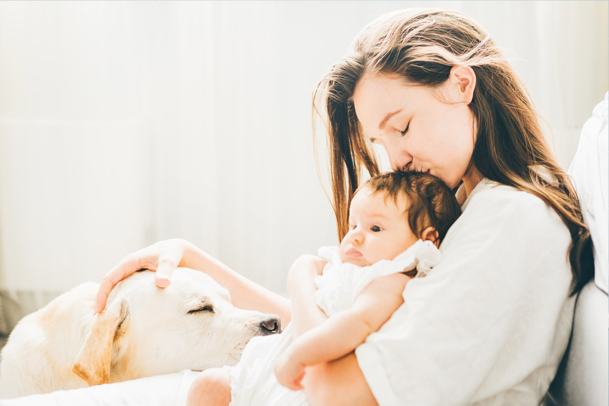 La llegada de un bebé a casa supone un gran cambio para toda la familia y, por supuesto, así es vivido también por nuestros animales de compañía.