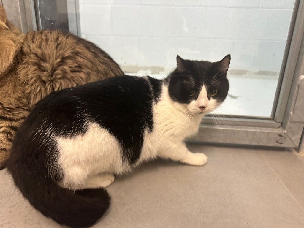 Imagen de PHIPHI ERAS