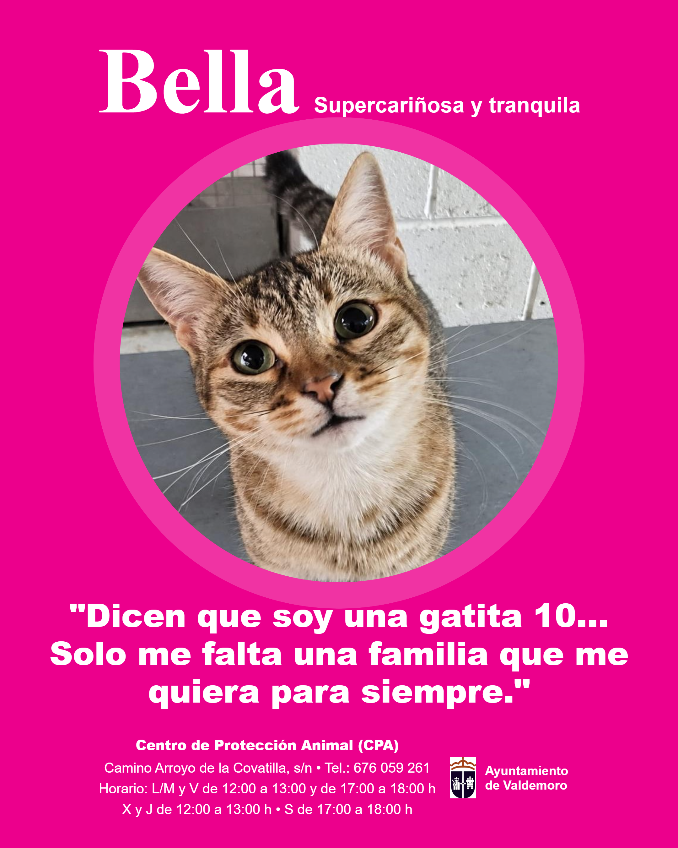 Imagen de BELLA