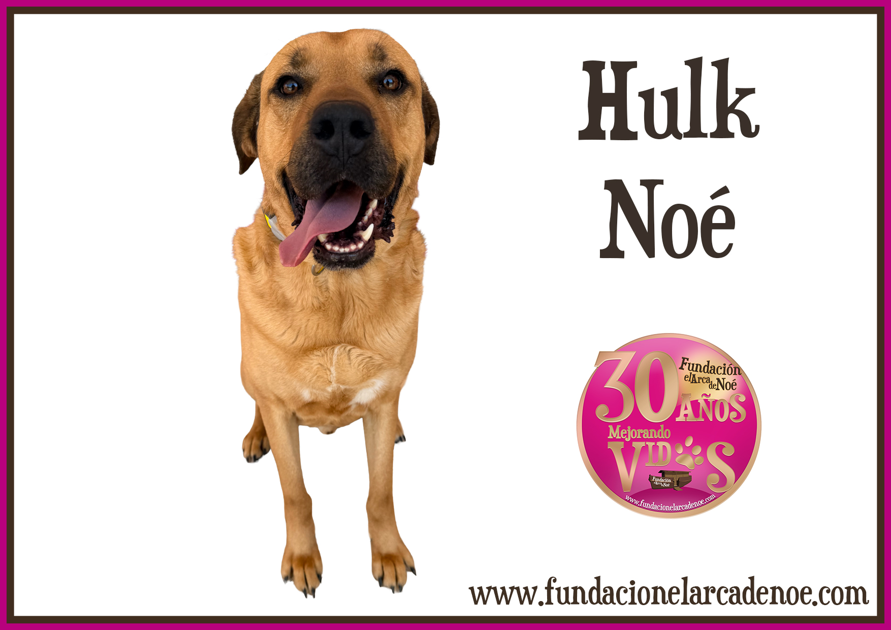Imagen de Hulk noé