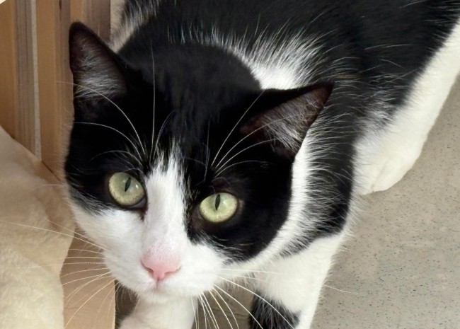 Imagen de Yazira Coca